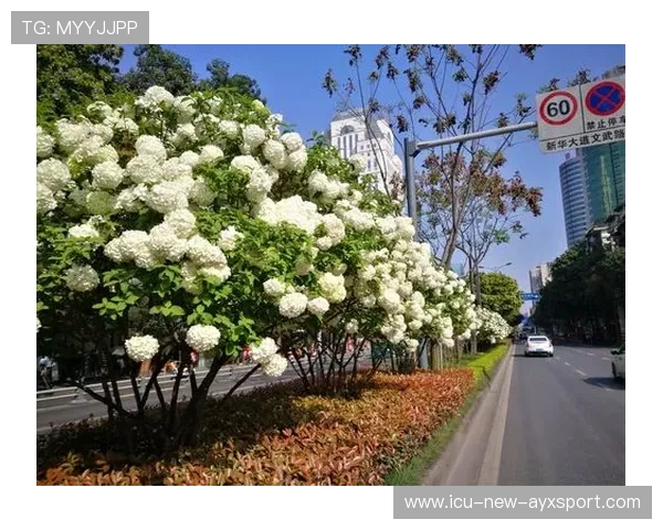 成都蓉城前场推进压制频频造成区域塌陷